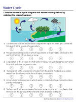 Numbering Stages in the Water Cycle