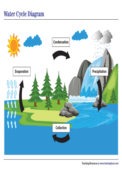 Water Cycle Diagram