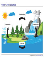 Water Cycle Diagram