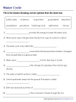 Filling in Blanks in Water Cycle Statements