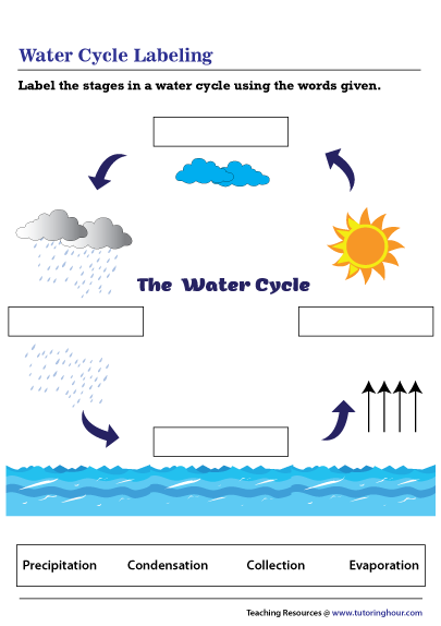 Water Cycle Labeling