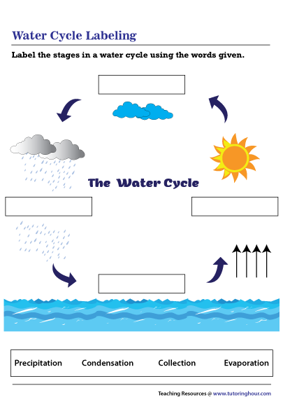 water cycle labeling worksheet pdf