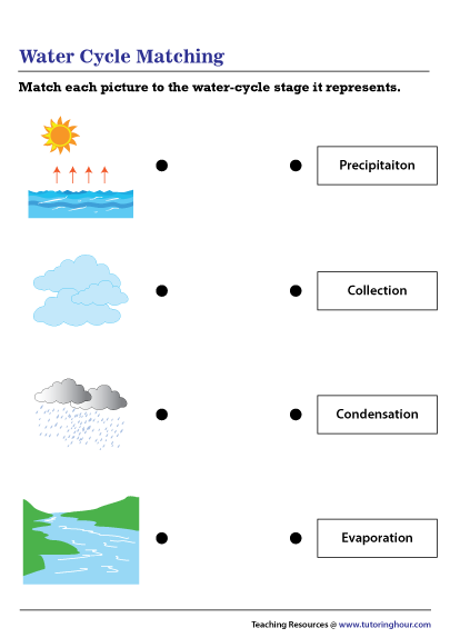 Water Cycle Matching Worksheet