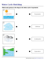 Matching the Water Cycle Stages and Names