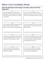 Identifying Stages in the Water Cycle