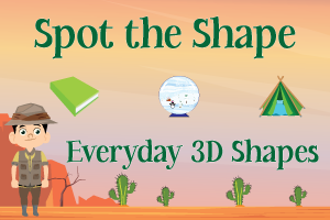 Everyday 3D Shapes