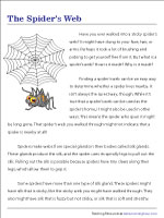 The Spider's Web