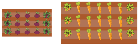 Beet and Carrot Patches