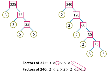 Factor Tree