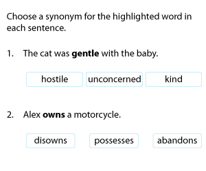 Synonyms