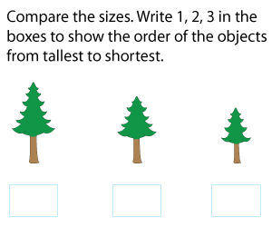 Ordering Objects from Tallest to Shortest