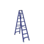 Image 1B