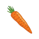 Image 5C