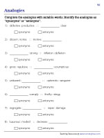 Synonyms and Antonyms Analogies - 3