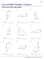 Finding the Area of Right Triangles | Integers - 2