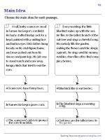 Identifying and Choosing the Main Idea