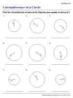 Finding the Circumference in Terms of Pi Using the Radius - 3