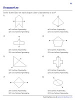 A Line of Symmetry or Not - 3